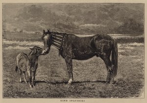 Kind Inquiries by Alfred Chantrey Corbould